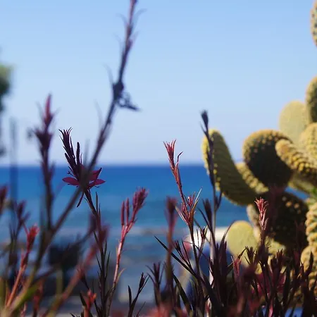 Gio-ma Plakias